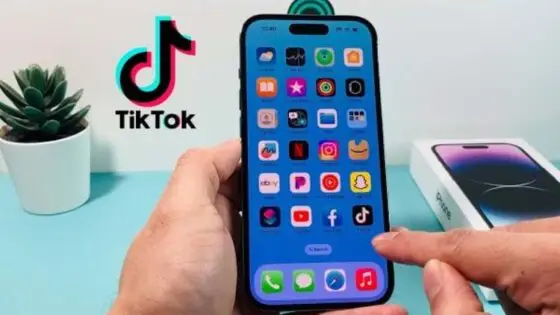 How to Download Old Version of TikTok on iOS