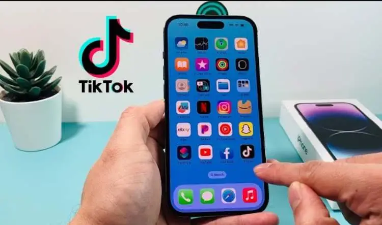 How to Download Old Version of TikTok on iOS